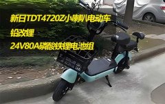 <b>朗凯威锂电池定制新日小喇叭电动车24V80A磷酸铁锂电池组铅改锂</b>