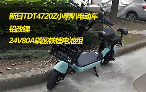 朗凯威锂电池定制新日小喇叭电动车24V80A磷酸铁锂电池组铅改锂